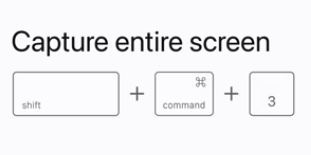 Screenshot 2024-10-29 at 12.16.53 PM.png